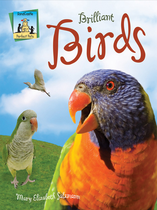 Cover image for Brilliant Birds